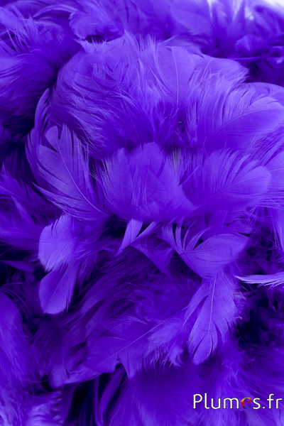 Poule - 5-9 cm - violet